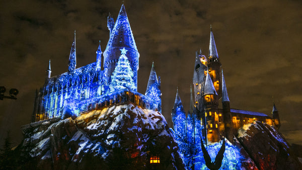 The Wizarding World of Harry Potter | January 21, 2024 |